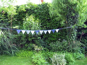 IMG_1545